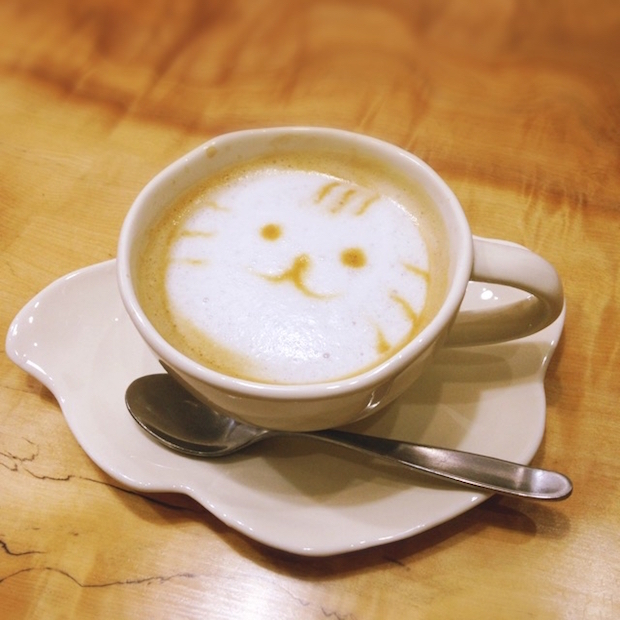 コーヒー