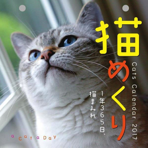 ２０１７年　卓上日めくりカレンダー　猫めくり